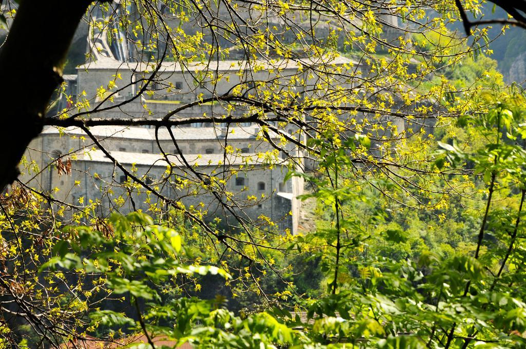 Casa Ciuca Hostel Bard Kültér fotó